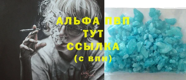 гидра Аркадак