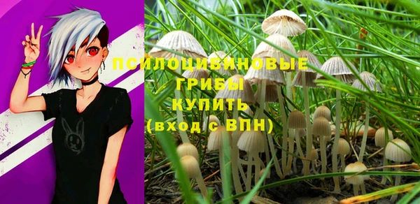 гидра Аркадак