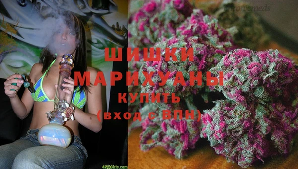 гидра Аркадак