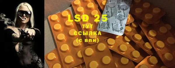 гидра Аркадак