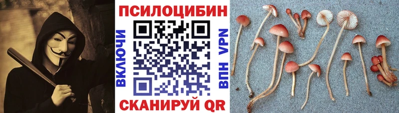Галлюциногенные грибы Psilocybine cubensis  как найти закладки  Уржум 